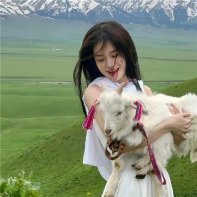 推理笔记电影版